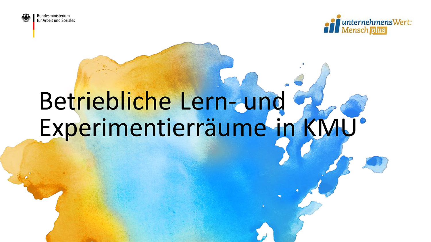 Präsentation - unternehmensWertMensch plus für ProzessberaterInnen